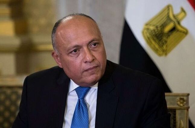 وزير الخارجية يُجري مشاورات سياسية مع نظيرته الجنوب إفريقية | أهل مصر