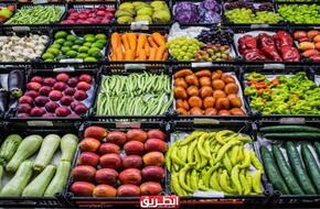 اسعار الخضراوات والفاكهة في مصر اليوم السبت 20-4-2024 | الاقتصاد | الطريق