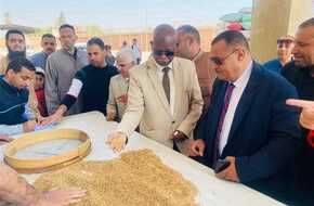 حصاد 19 ألف فدان قمح وتوريد 1765 طن من المحصول بالقليوبية | المصري اليوم