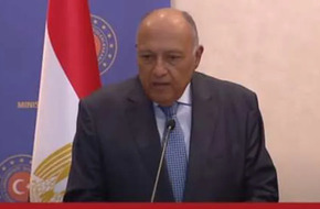 وزير الخارجية: نهدف إلى الارتقاء بالعلاقات بين مصر وتركيا