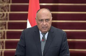 ‏شكري‬⁩: ⁧‫مصر‬⁩ ستواصل جهودها من أجل التوصل إلى وقف فوري لإطلاق النار في غزة