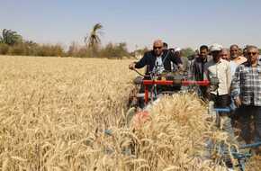 الوادي الجديد: رئيس مدينة بلاط يفتتح موسم حصاد القمح بمزرعة إحدى المشروعات الاستثمارية