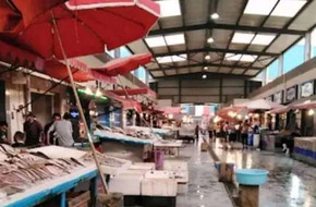 مفاجأة صادمة للتجار.. أهالي بورسعيد يقاطعون سوق السمك حتى تنخفض الأسعار