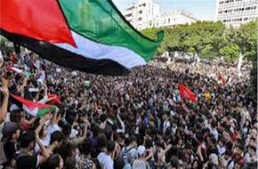 استمرار المظاهرات ضد الحرب الإسرائيلية على غزة في الولايات المتحدة