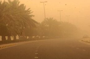 نصائح مهمة لمرضى الجهاز التنفسي والحساسية خلال الطقس اليوم  | أهل مصر