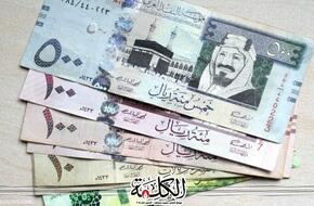 سعر الريال السعودي أمام الجنيه المصري اليوم الثلاثاء | اقتصاد | بوابة الكلمة