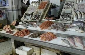 أسعار الأسماك في سوق العبور اليوم 23 أبريل
