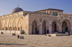 219 مستوطنا إسرائيليا يقتحمون المسجد الأقصى