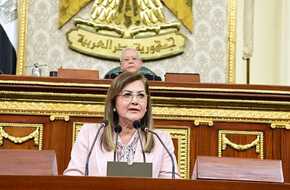 وزيرة التخطيط تستعرض مستهدفات الخطة في مجال التنمية الريفيّة والتحسين البيئي | المصري اليوم