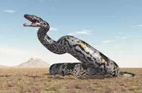 الثعبان العملاق.. كائن أسطوري عاش في الهند قبل بدء التاريخ طوله 15 مترًا ويزن نحو طن | المصري اليوم