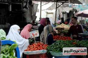 سعر الطماطم والبطاطس والخضروات بالأسواق اليوم الأربعاء 24 أبريل 2024 | المصري اليوم