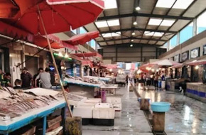 بعد 3 أيام من المقاطعة.. مفاجأة بشأن أسعار السمك في بورسعيد | أهل مصر