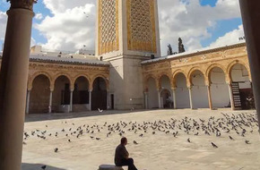 دولة عربية تقرر إطلاق اسم «غزة» على 24 مسجدا بجميع ولاياتها