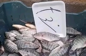 عاجل...مبادرة مقاطعة الأسماك: طبقنا دعوة الرئيس السيسي | العاصمة نيوز