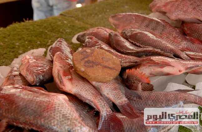 بالتزامن مع حملة المقاطعة «خليه يعفن».. تعرف على أسعار السمك في الأسواق 24 أبريل 2024 | المصري اليوم
