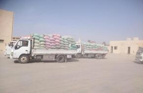 توريد 17 ألف طن من محصول القمح بالشون والصوامع الحكومية بمراكز المنيا | محافظات | الصباح العربي