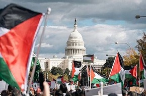 وول ستريت جورنال: من يقف وراء الاحتجاجات المناهضة لإسرائيل في الجامعات الأمريكية؟