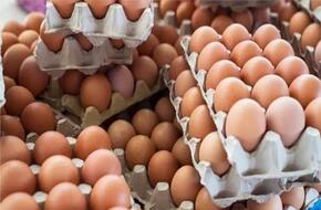 أسعار البيض في الأسواق اليوم الخميس 25 أبريل 2024