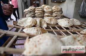 «الداخلية» تواصل الحملات وتؤكد: مستمرون في التصدى لمحاولات التلاعب بأسعار الخبز  | المصري اليوم