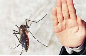 علماء يحذرون: الاحتباس الحراري السبب في انتشار مرضي الملاريا وحمى الضنك