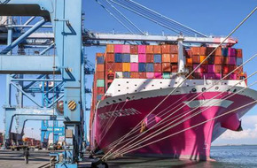 ميناء دمياط يستقبل 25 ألف طن بضائع.. ورصيد القمح في الصوامع يصل إلى 218 ألف طن
