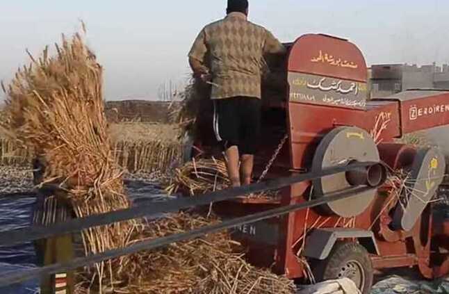 مصرع شاب لسقوطه بماكينة دراس القمح في أسيوط  | المصري اليوم