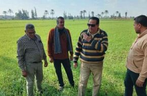 وكيل وزارة الزراعة في دمياط يتابع مدى استغلال الأصول بالإدارة الزراعية في كفر سعد