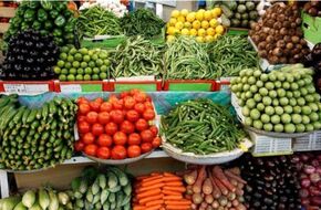 ارتفاع أسعار الطماطم والبطاطس اليوم الجمعة في كفر الشيخ | أهل مصر