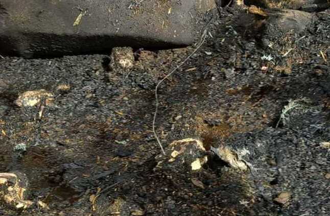 اشتعال النيران في حظيرة ماشية بالمنيا (تفاصيل) | المصري اليوم