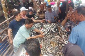 تجار السمك يعدلون عن قرارهم بعدم توريد أسماك لـ«حلقة» سوق شطا بدمياط