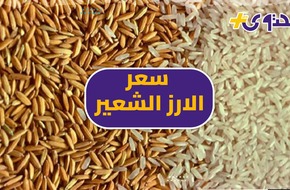 سعر الأرز الشعير العريض اليوم الجمعة 26 أبريل.. الطن بـ 16300 جنيها - محتوى بلس