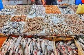 شعبة الأسماك في بورسعيد: التجار أغلقوا محالهم تضامنا مع المقاطعة.. والأسعار لم تنخفض
