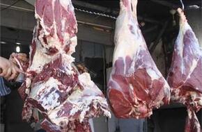 أسعار الأسماك واللحوم والدواجن والخضروات اليوم السبت 27 أبريل