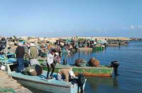 افتتاح موسم الصيد في بحيرة البردويل | المصري اليوم