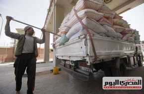 صوامع الإسكندرية تستقبل 2700 طن قمح محلى منذ بدء موسم التوريد | المصري اليوم