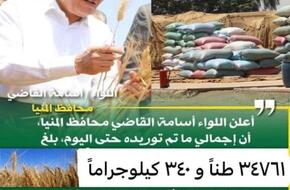 توريد ٣٥ ألف طن من محصول القمح بالشون والصوامع الحكومية بمراكز المنيا | محافظات | الصباح العربي