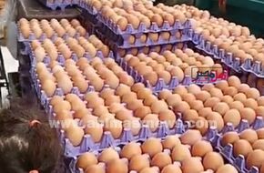 «كل مكان تسعيرة شكل».. تفاوت في أسعار البيض بالمنيا وتوقعات بالانخفاض | أهل مصر