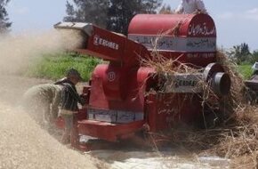 مصرع مزارع أثناء عمله على ماكينة دراس القمح بقطور في الغربية