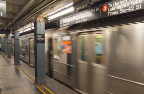 بين ذعر بعض الركاب وتجاهل آخرين...راكب يتنقل في مترو أنفاق نيويورك مع ثعبانين ضخمين (فيديو)