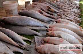 أسعار السمك اليوم الأحد 28 إبريل 2024 بعد المقاطعة وإطلاق مبادرة «خليها تعفن» | المصري اليوم