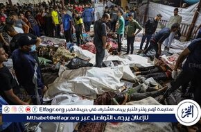قاضٍ مصري: مصر موقفها ثابت تجاه فلسطين وعلى أمريكا تقديم تفسيرات مقنعة للعالم 