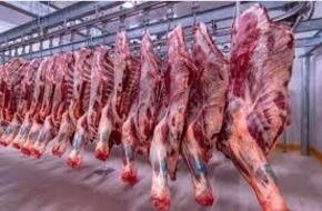 استقرار أسعار اللحوم اليوم