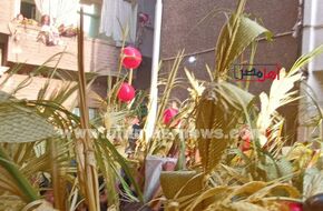 أغصان على شكل صلبان وورود.. الآلاف من  الأقباط يحتفلون بـ«أحد الشعانين» في كنائس المنيا (صور) | أهل مصر