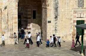 مستوطنون يقتحمون المسجد الأقصى | المصري اليوم