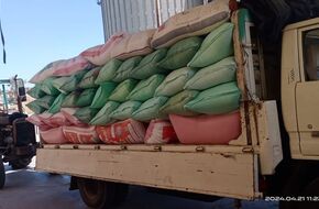 شون وصوامع المنيا تستقبل 41 طناً من القمح لموسم حصاد 2024 | أهل مصر