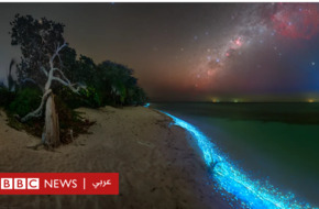  الملديف: كيف أصبح "البحر الوهمي" من أهم المناطق التي تجذب السائحين للمالديف؟ - BBC News عربي