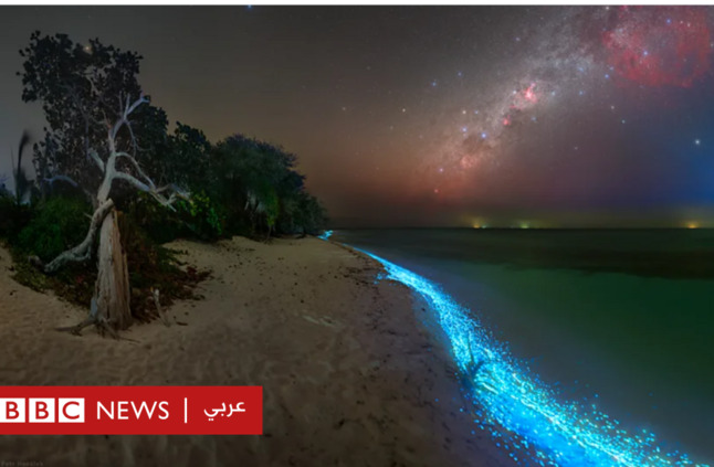  الملديف: كيف أصبح "البحر الوهمي" من أهم المناطق التي تجذب السائحين للمالديف؟ - BBC News عربي