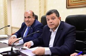 رئيس «حماية المستهلك» لـ«النواب»: شاشات تفاعلية بالمولات لتسهيل تقديم الشكاوى | أهل مصر