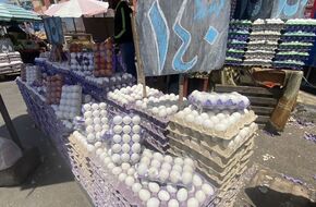 المال الحلال أهو.. تاجر بيض بورسعيدي يخفض أسعاره: الكرتونة بـ140 جنيه | أهل مصر