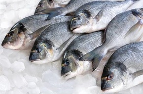 عاجل...الزراعة: طرح أسماك في المنافذ لمواجهة حالة الطلب عليها | العاصمة نيوز